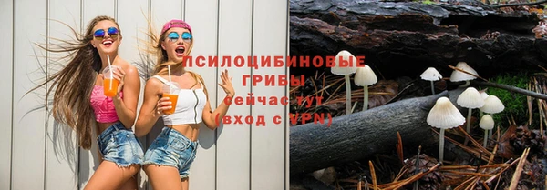 наркотики Каменногорск