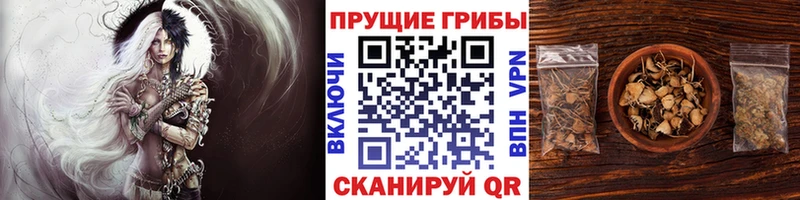 Галлюциногенные грибы Magic Shrooms  Купить  Заволжье 
